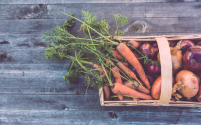 How is Gardening Good for Your Mental Health?