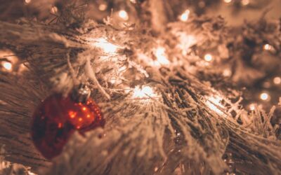 Strategies for Fostering Holiday Well-being in the Workplace